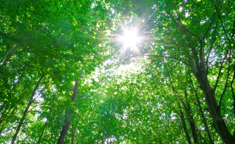 sustainability index img 04
