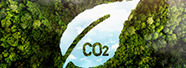 webinar3 2024
