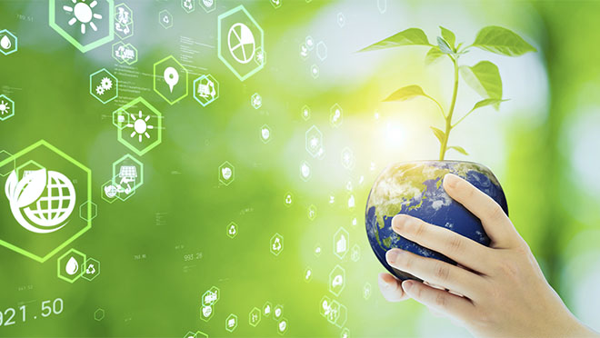 img carbon neutral
